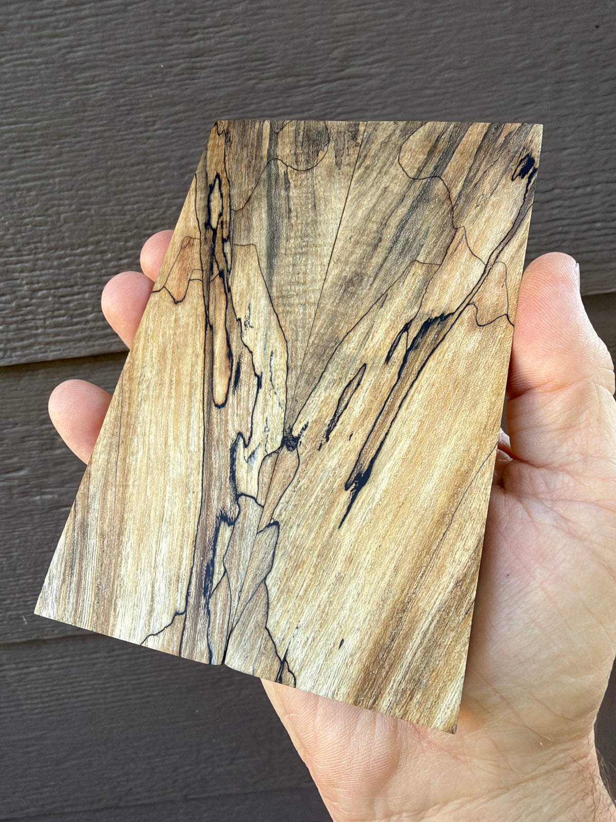  Spalted Maple Knife scales 