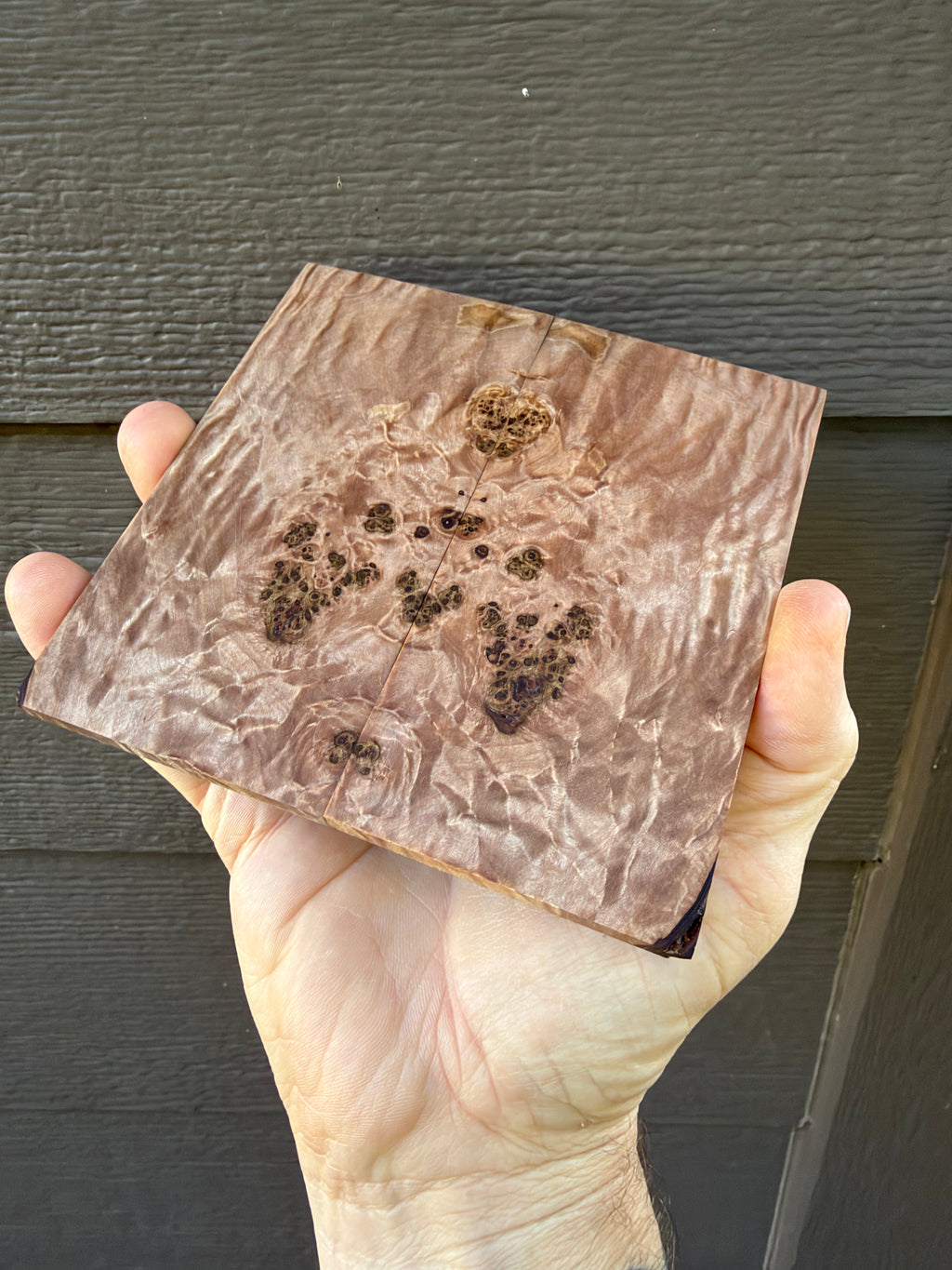 Big leaf maple Burl knife scales 