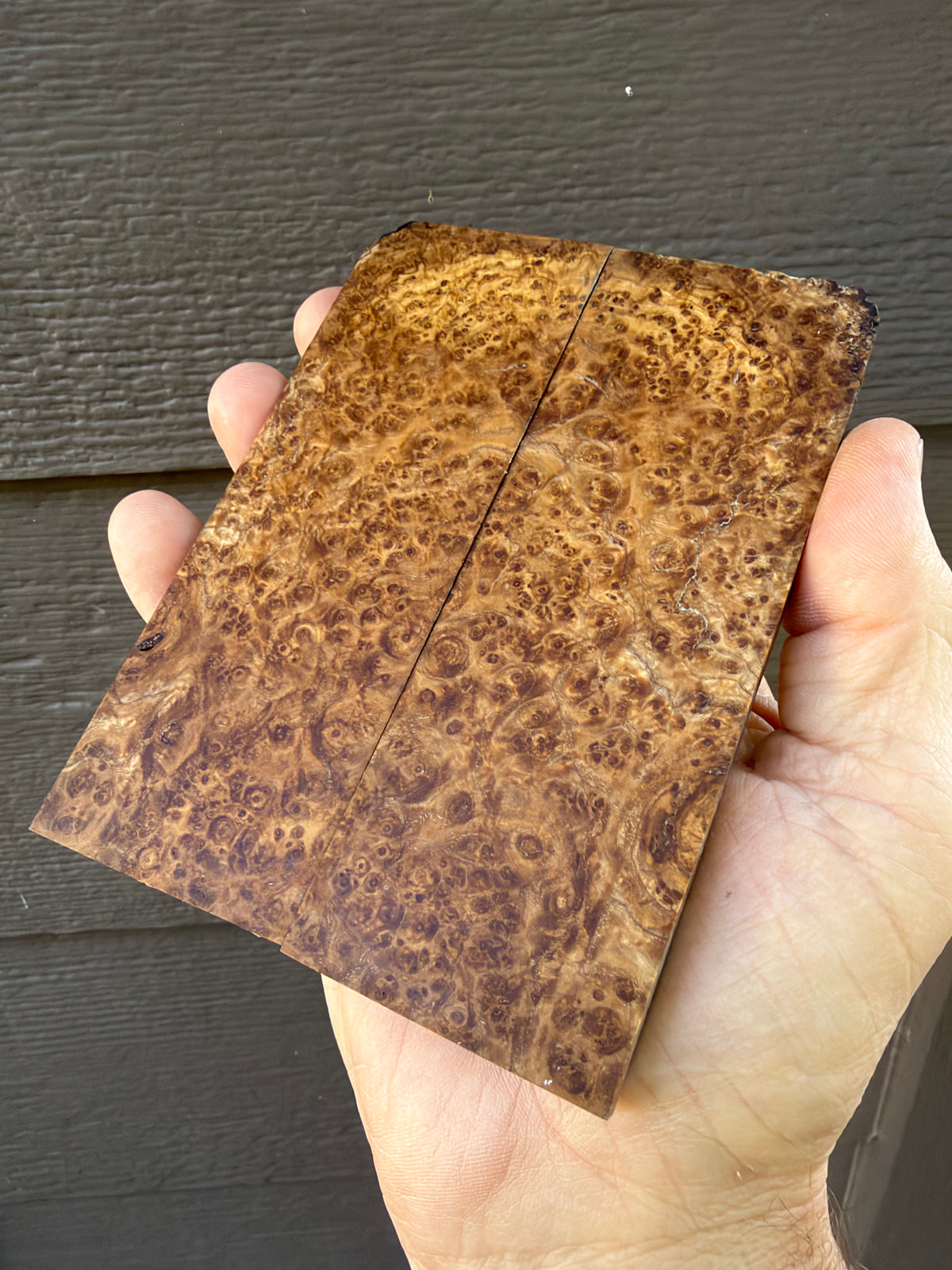 #7935 Amboyna Burl Knife Scales