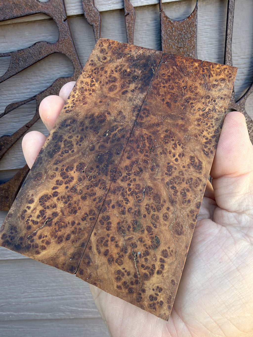 Amboyna Burl knife scales 