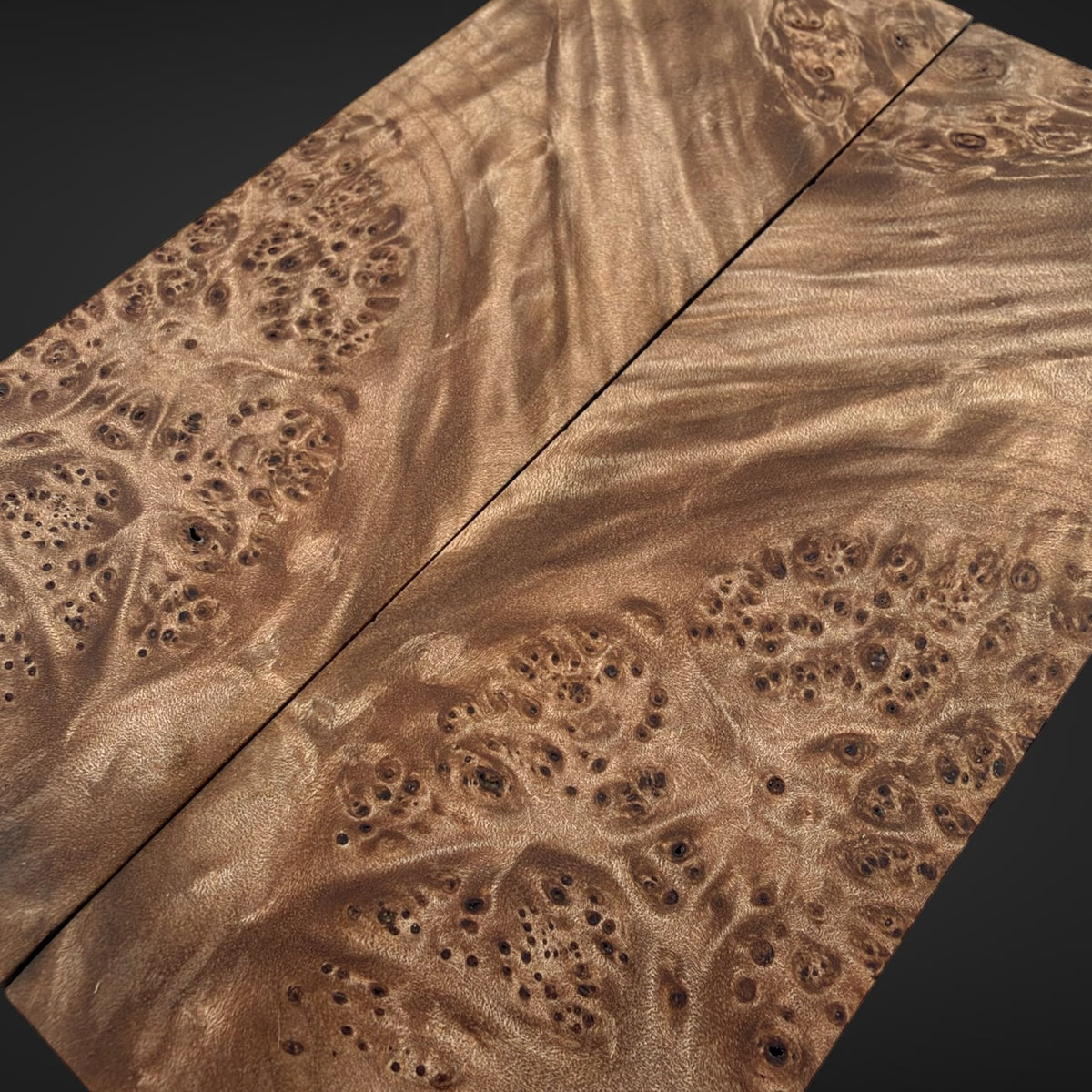 Big leaf maple Burl knife scales 