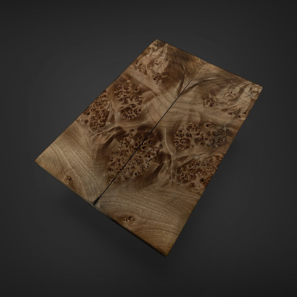  Big Leaf Maple Burl