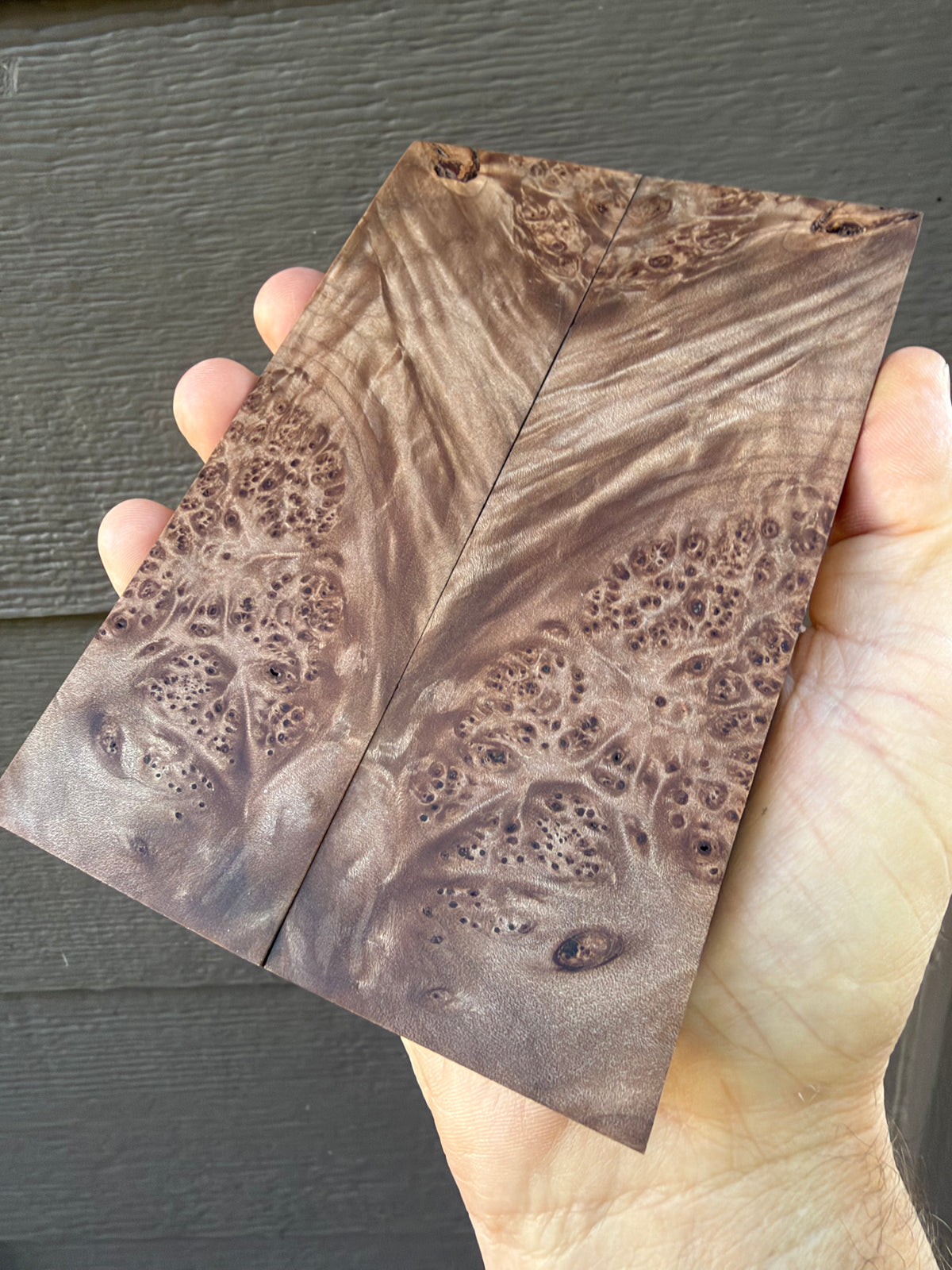 Big leaf maple Burl knife scales 