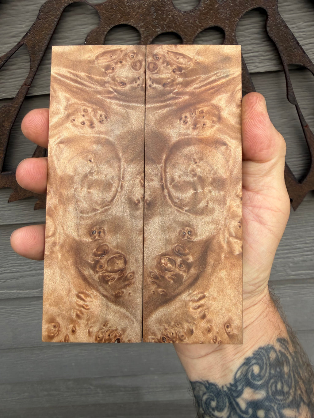 Big leaf maple Burl knife scales 