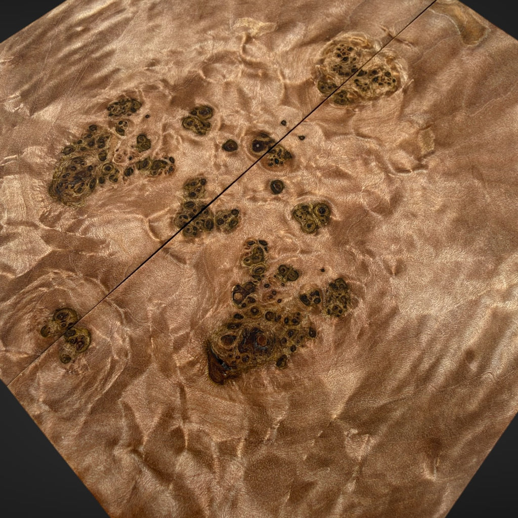 Big leaf maple Burl knife scales 