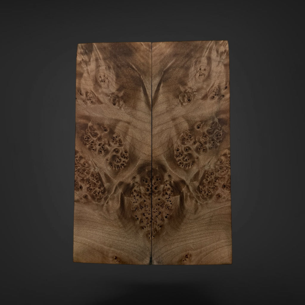  Big Leaf Maple Burl