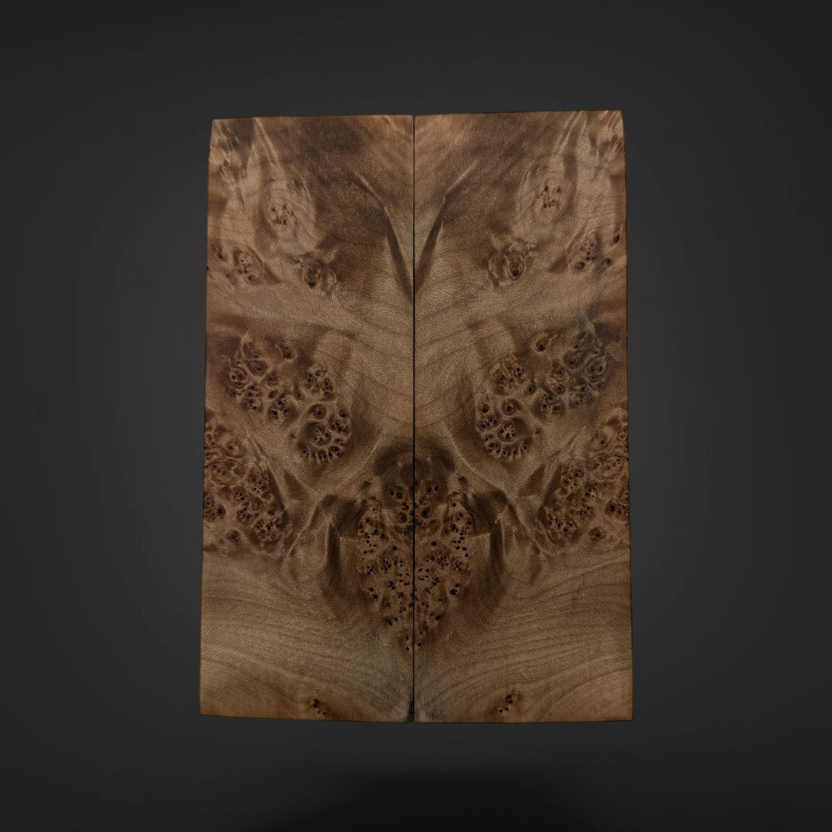  Big Leaf Maple Burl