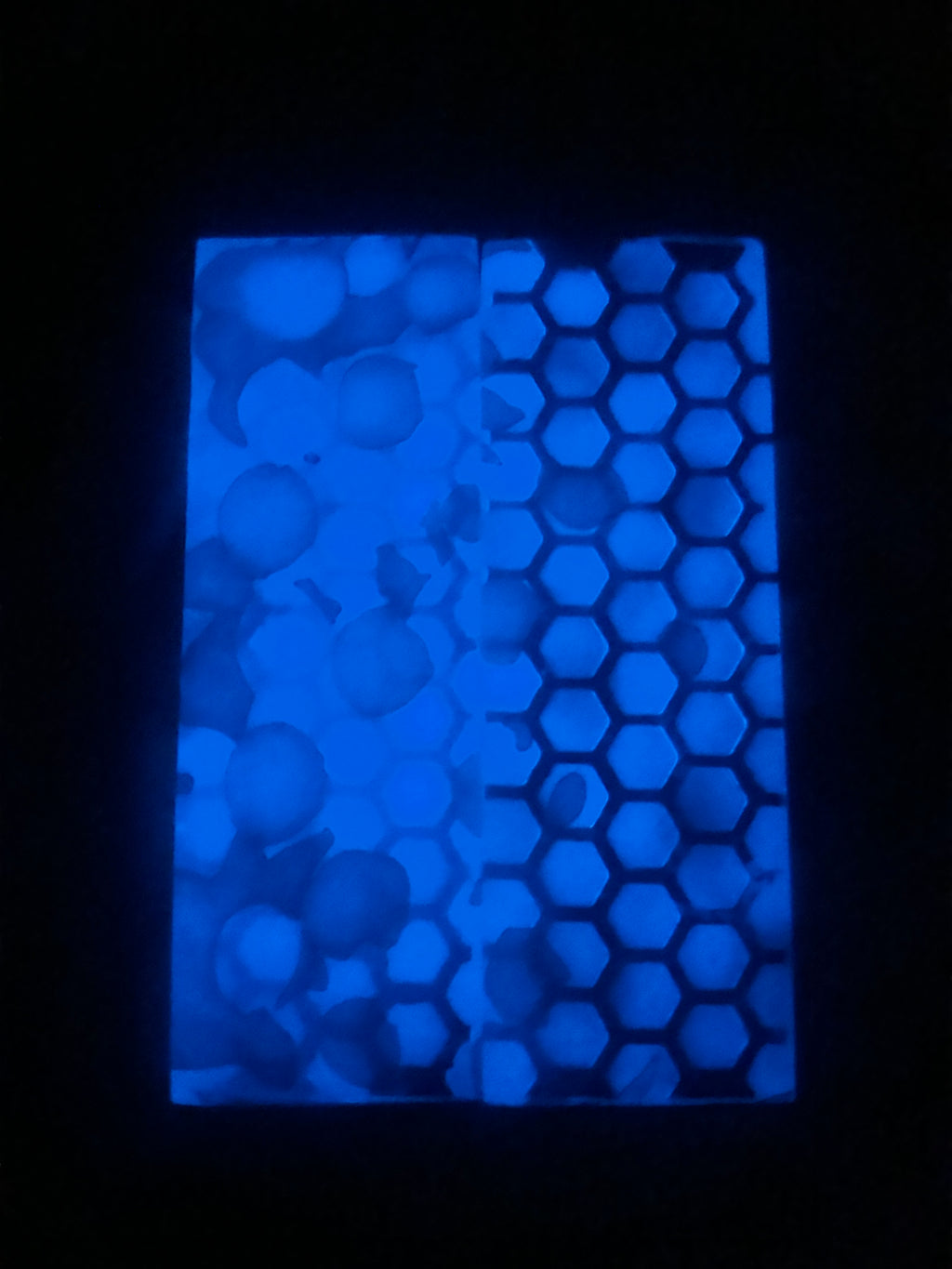 #1979 JHC Resin Chaos Shred Carbon Scales