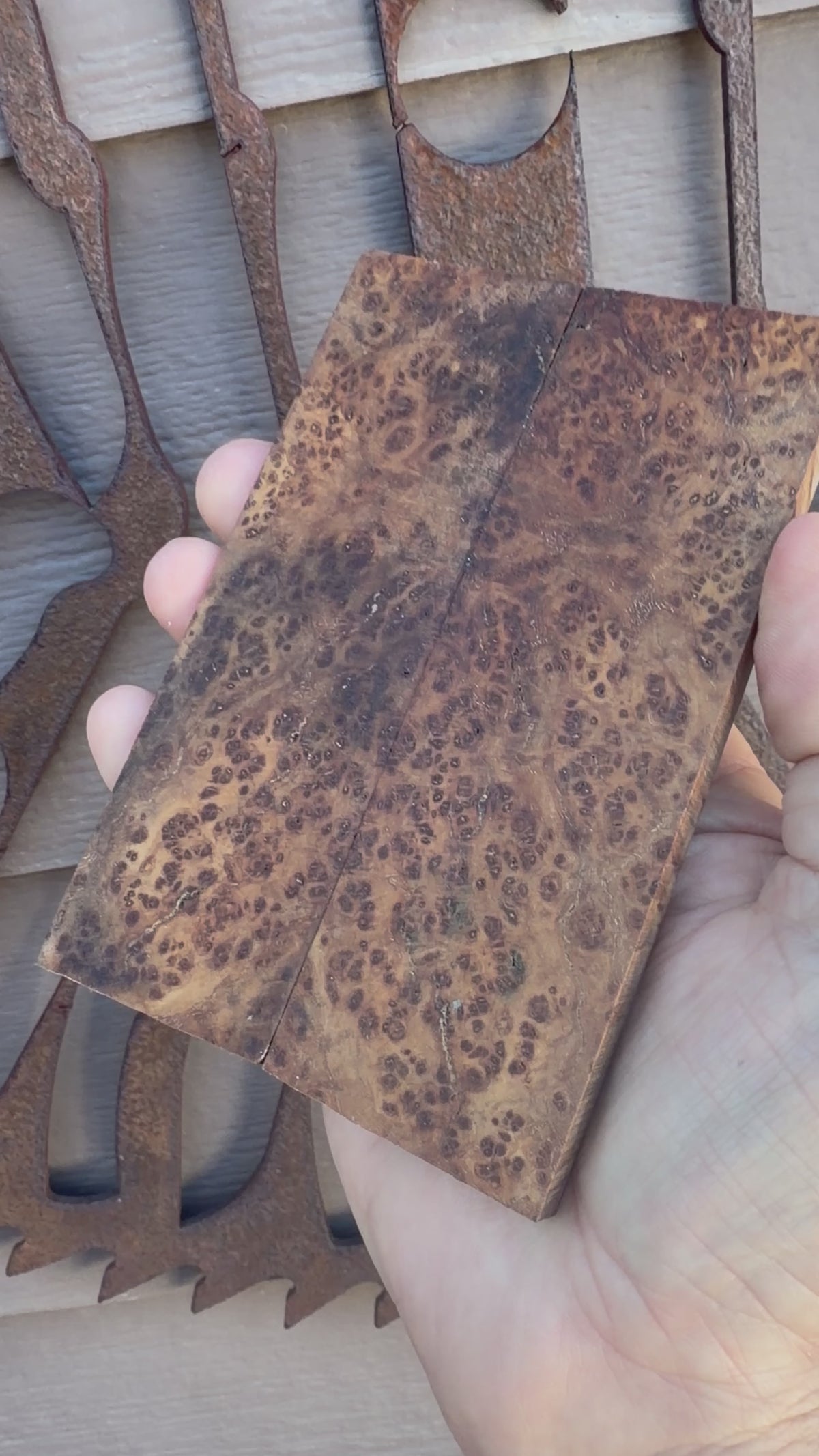 #7906 Amboyna Burl Knife Scales