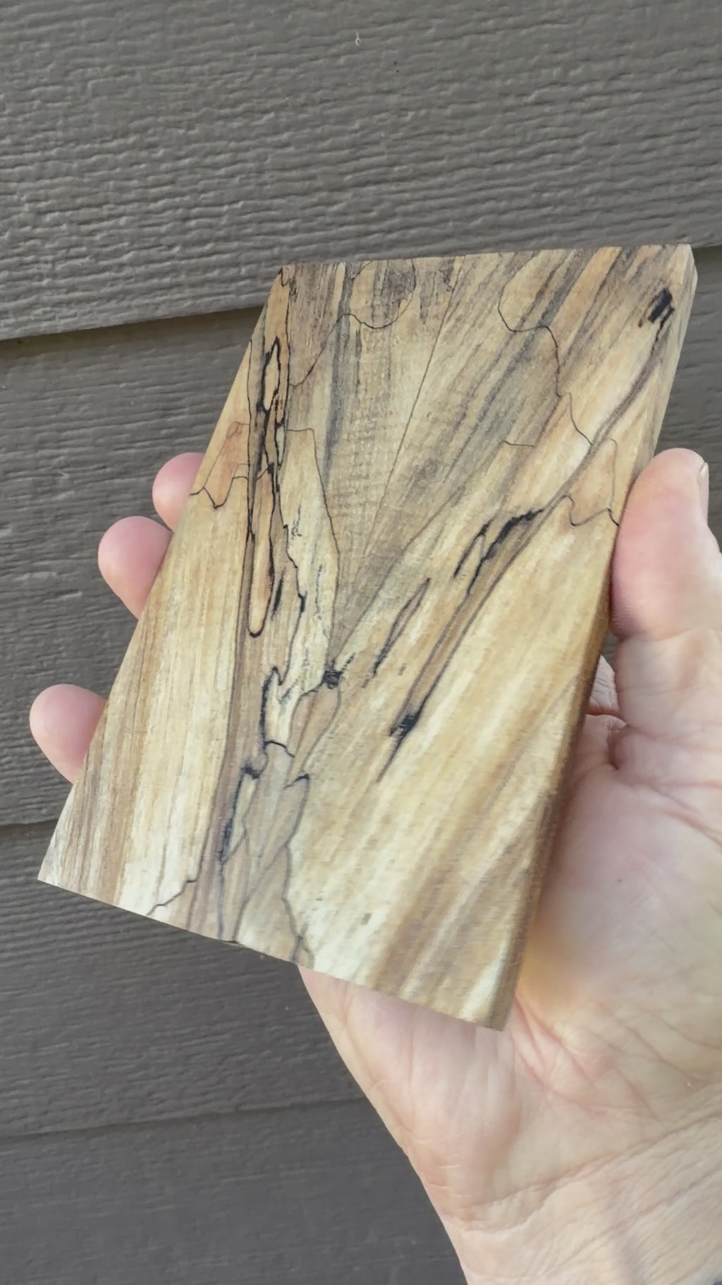 #2616 Spalted Maple Knife scales