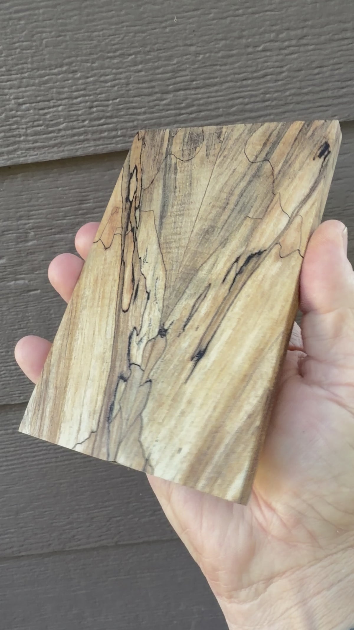 #2616 Spalted Maple Knife scales