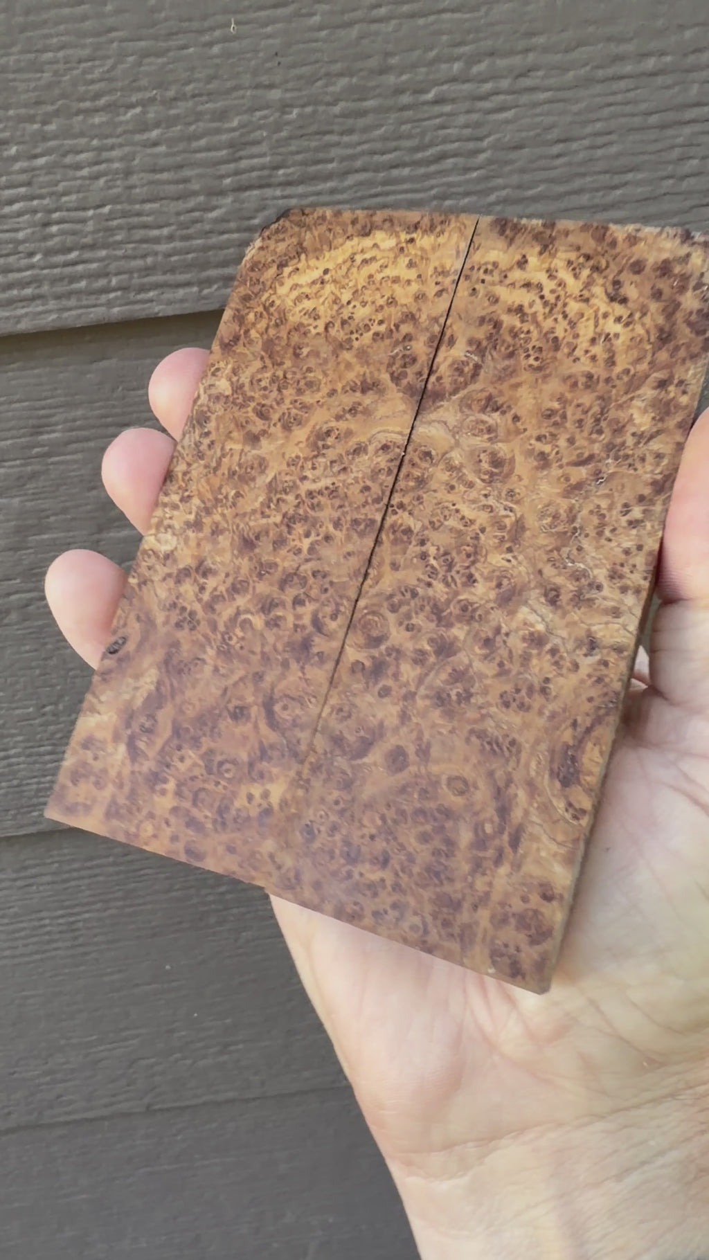 #7935 Amboyna Burl Knife Scales