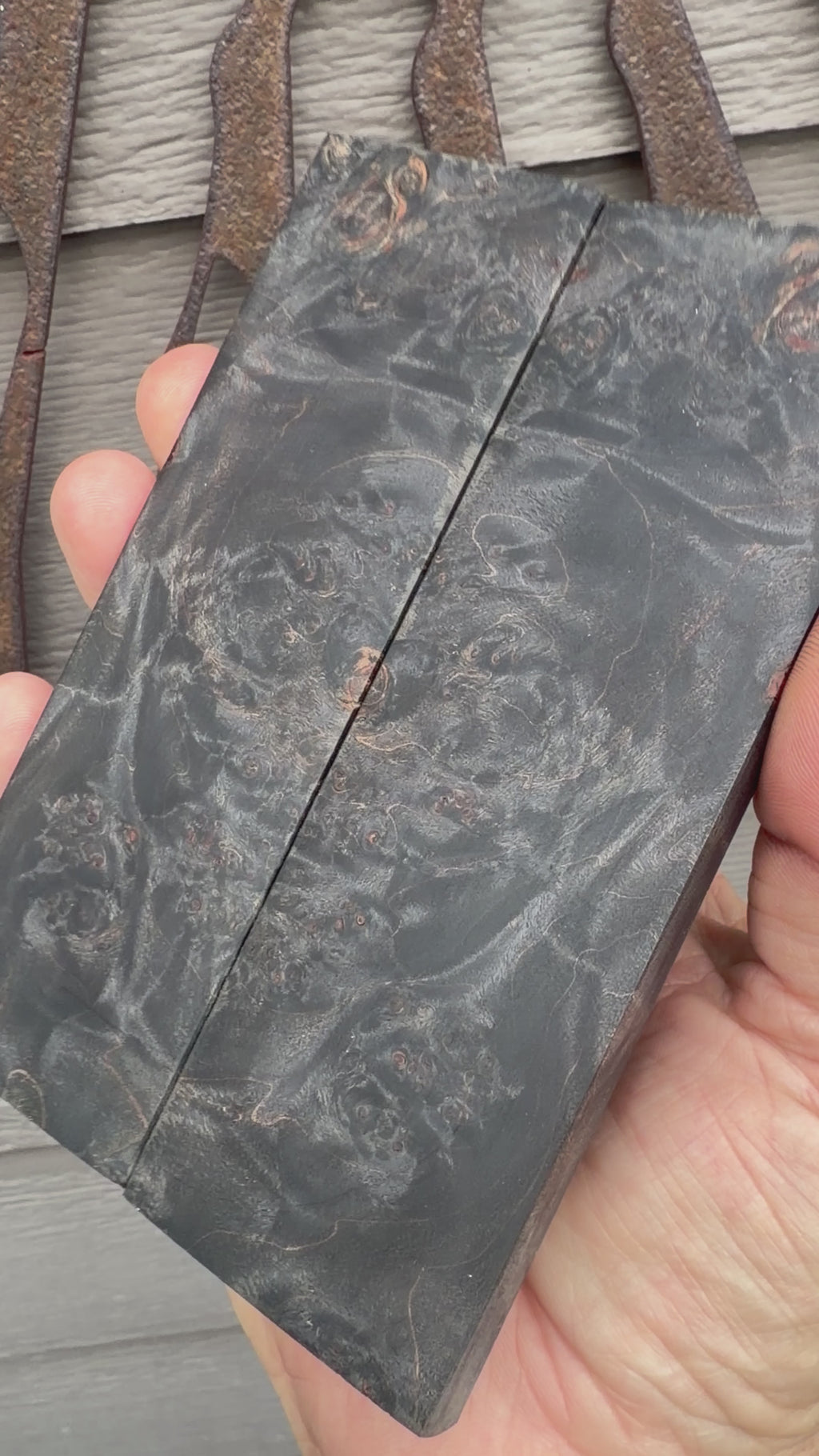 #1741Big Leaf Maple Burl