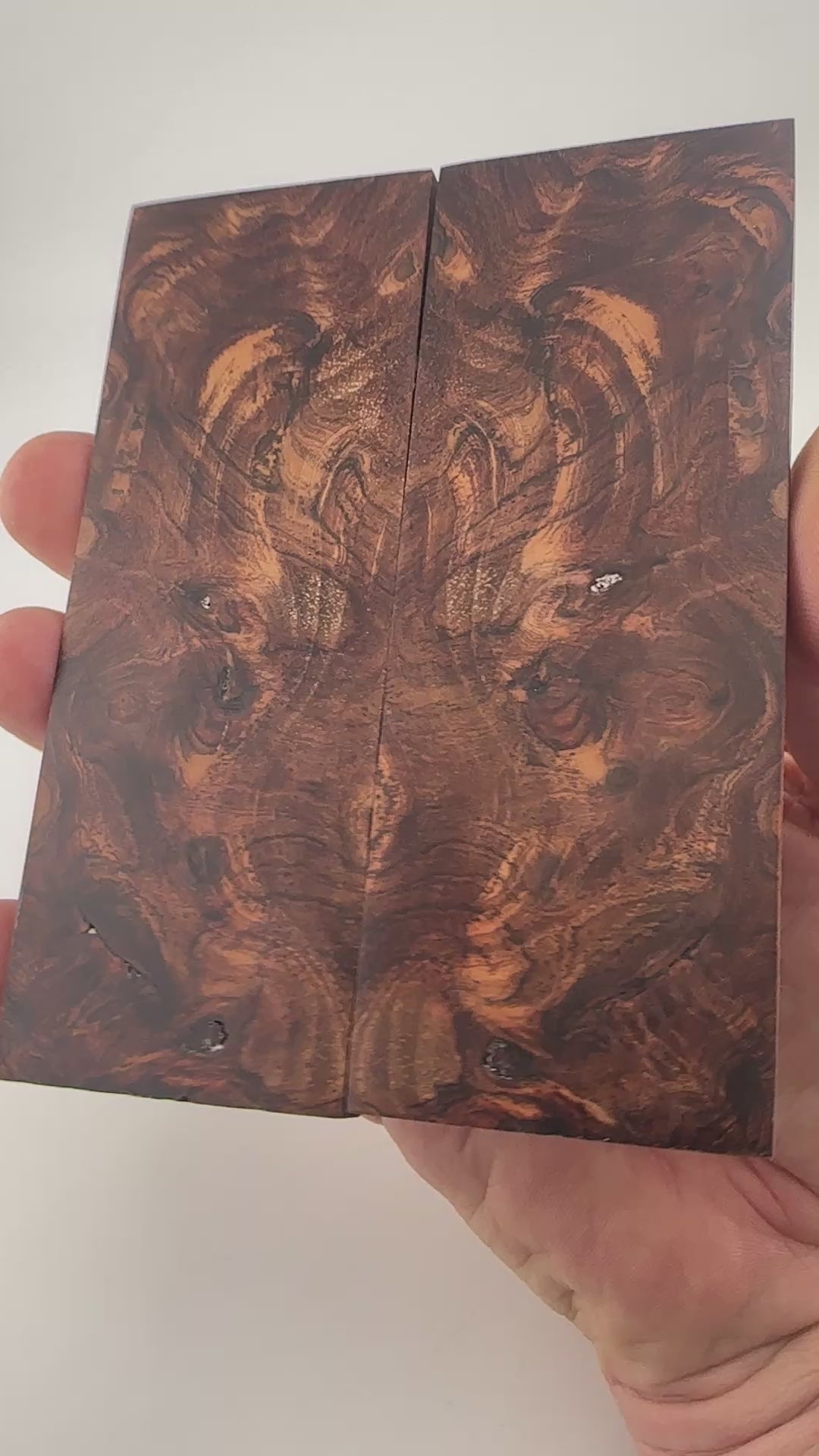#7676 Honduras Rosewood Burl Scales